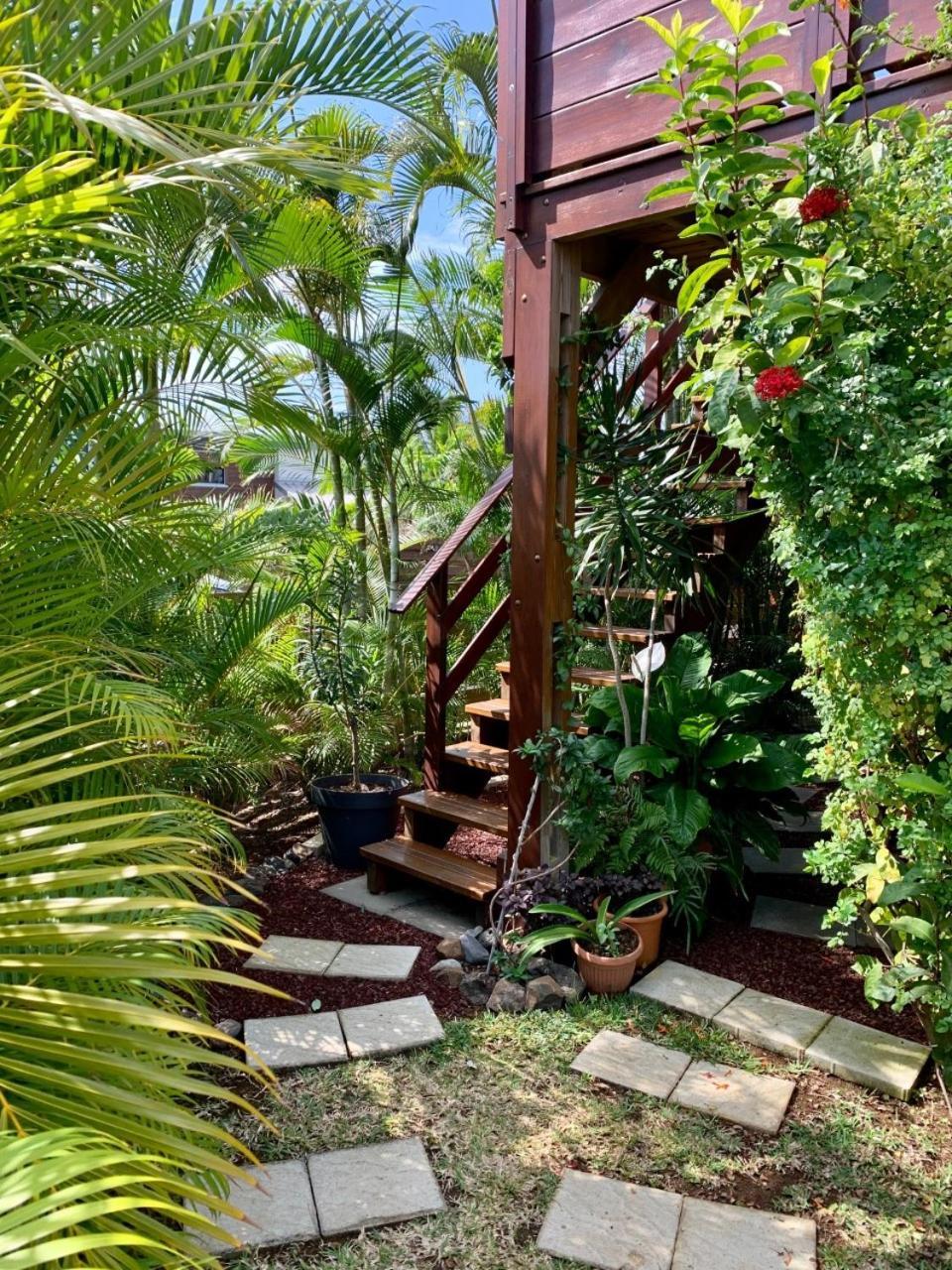 P'Ti Coin Zen Daire Saint-Gilles-les Bains Dış mekan fotoğraf